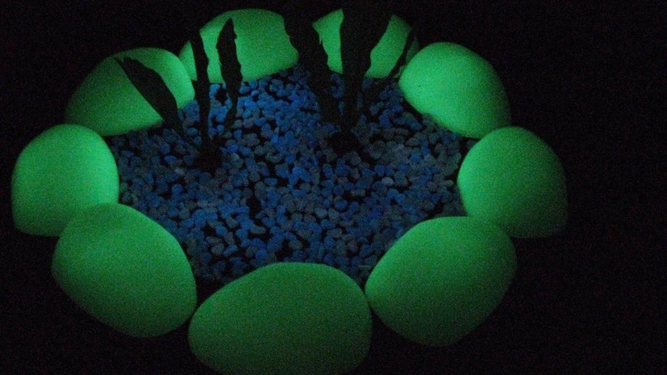 Светящиеся камни в ландшафте