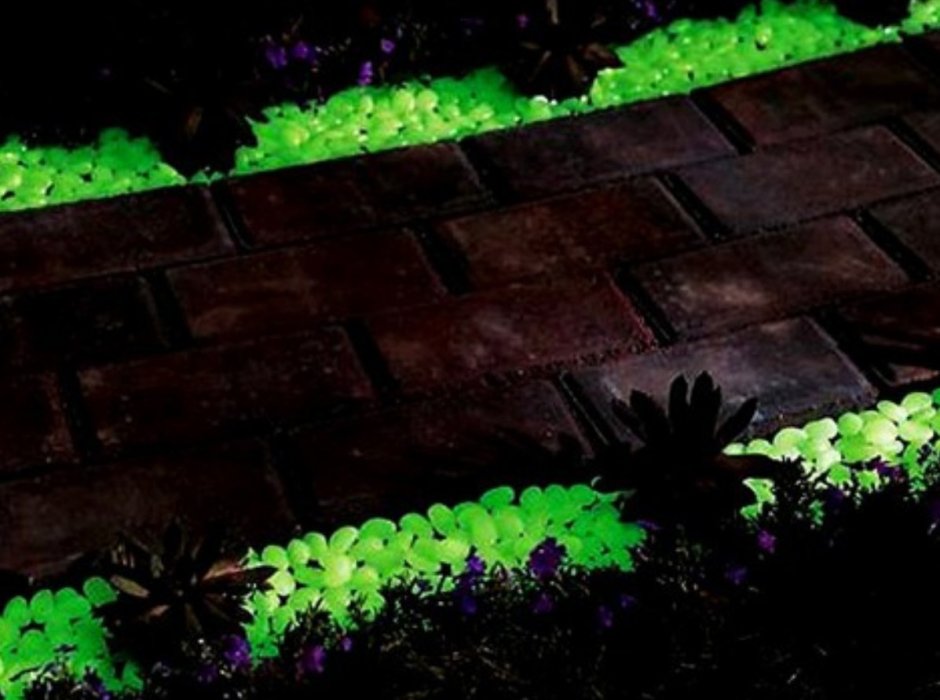 Люминофорная тротуарная плитка