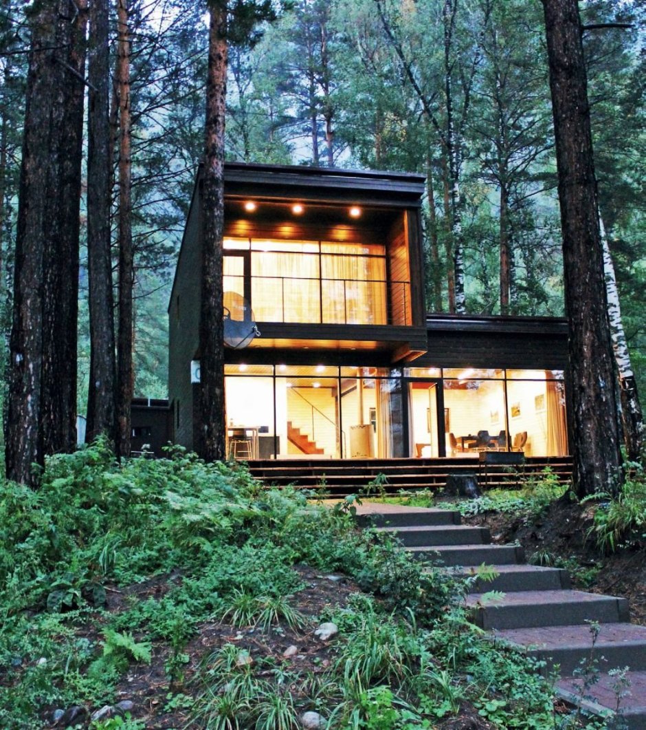 Алтика горный Алтай