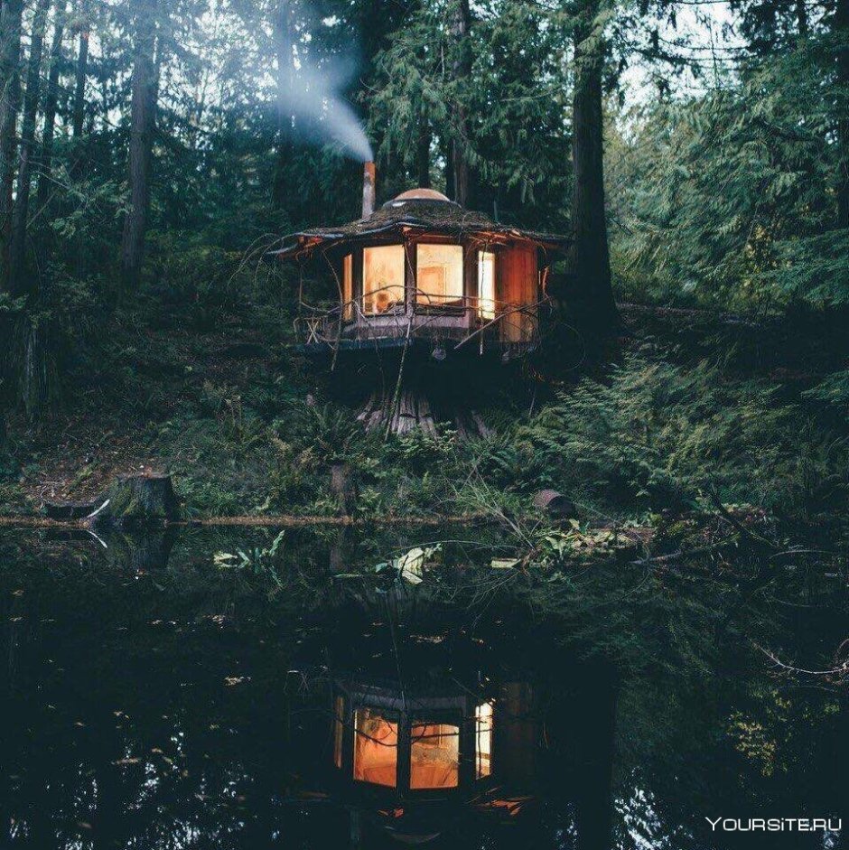 Лесная Хижина фильм 2019