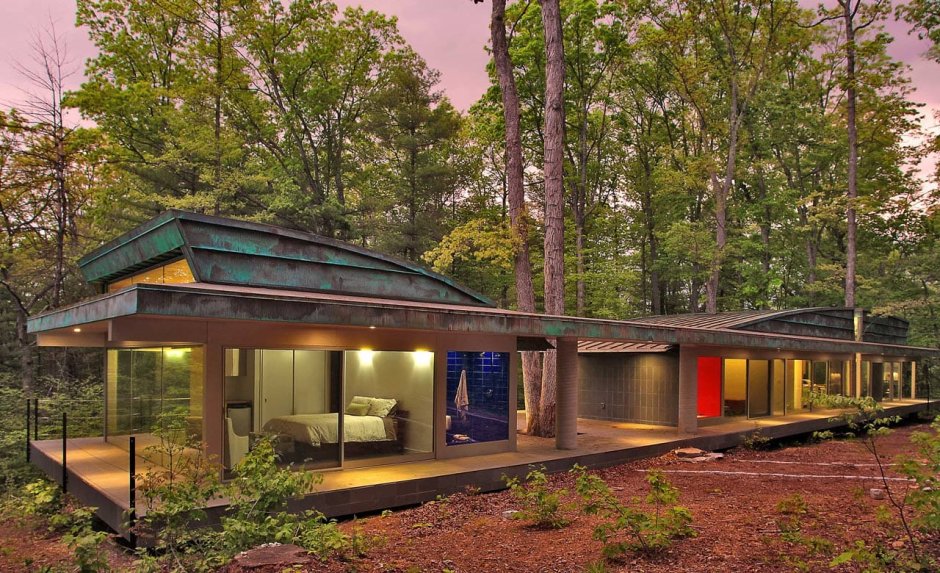 Дом среди деревьев