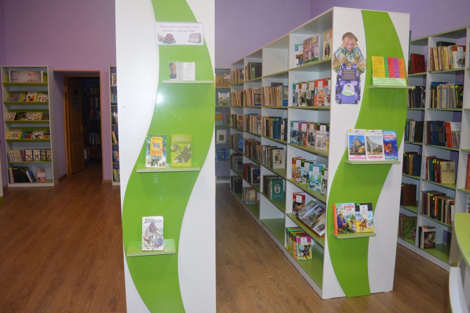 Детские модельные библиотеки в России
