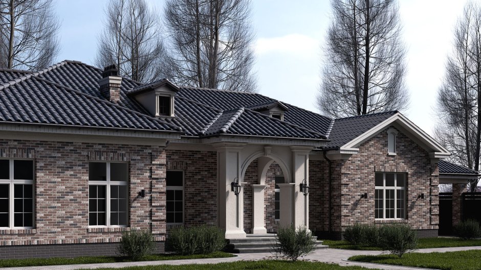 Барн хаусы Barn House с односкатной крышей