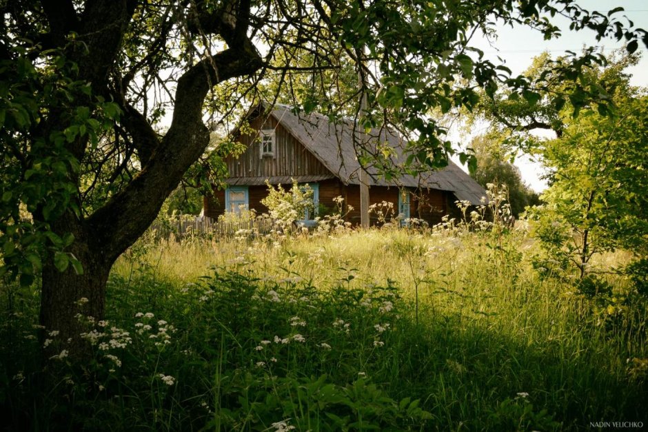 Деревенский домик