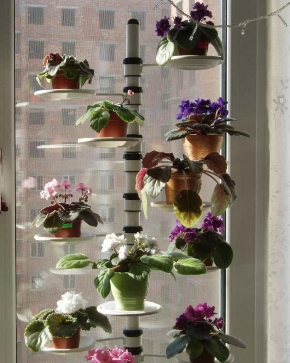 Стеллаж для комнатных растений