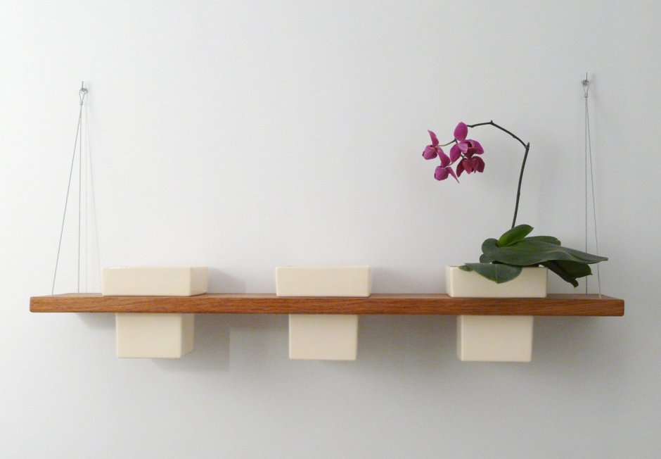 Цветы на стене в горшках