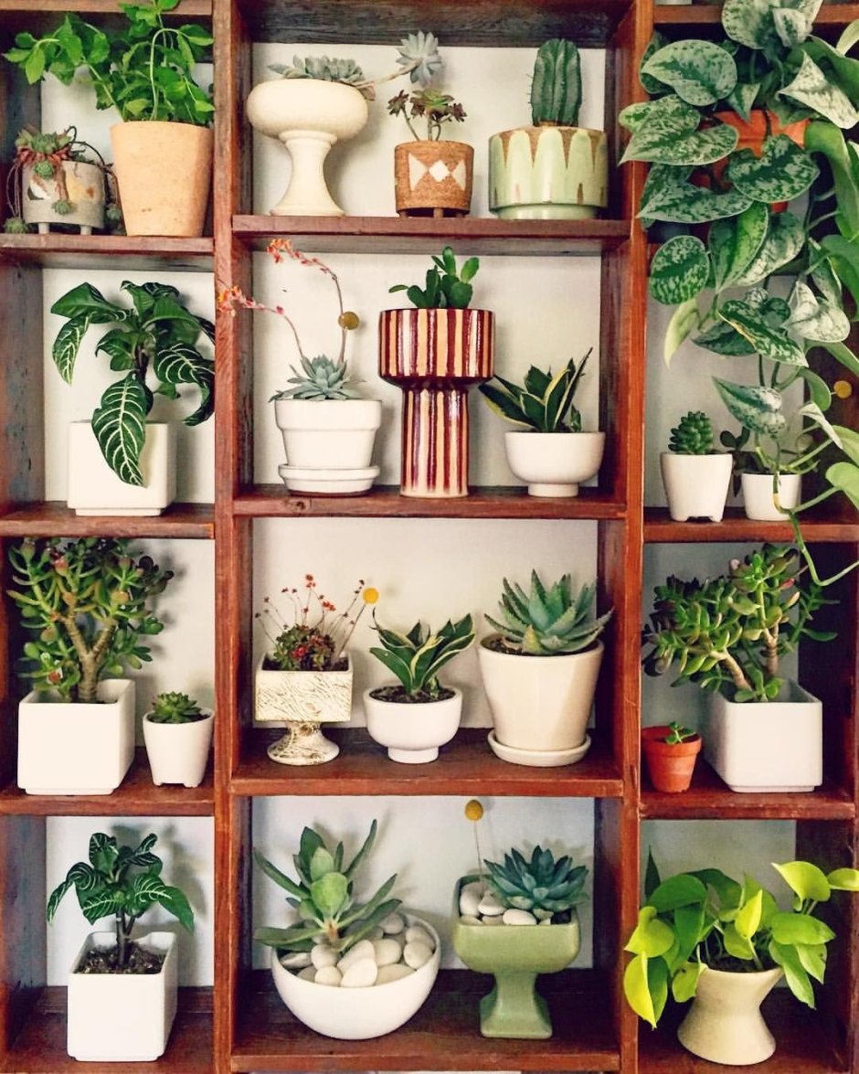 Полка для цветов