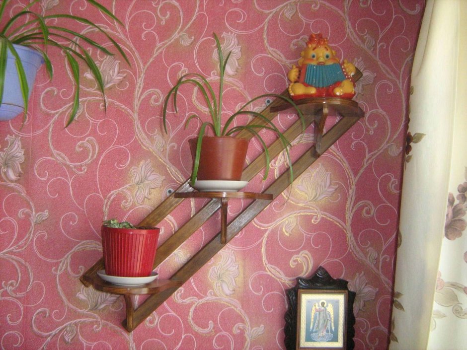 Орхидея фаленопсис на коре