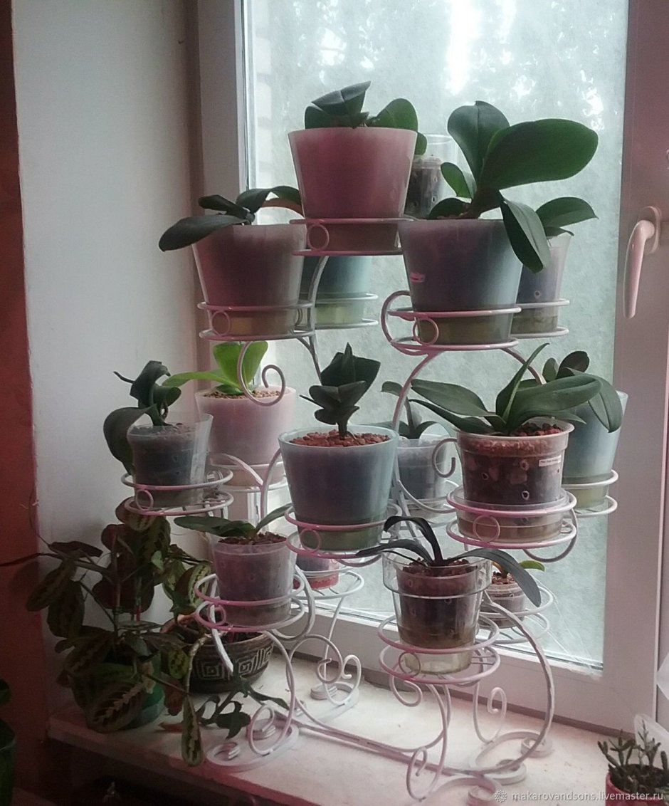 Полочки для растений на стену