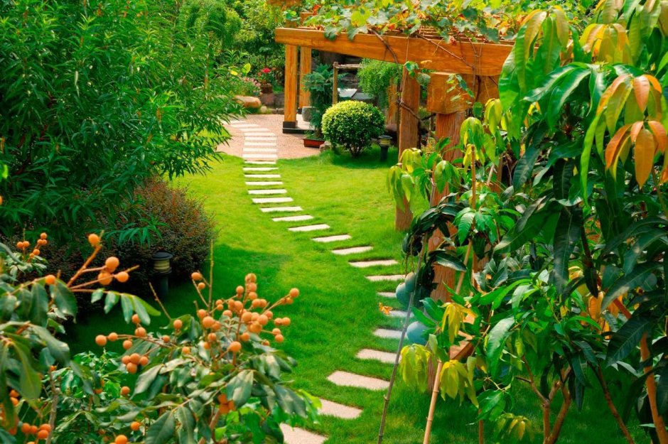 Дизайный ландшафт дачного участка