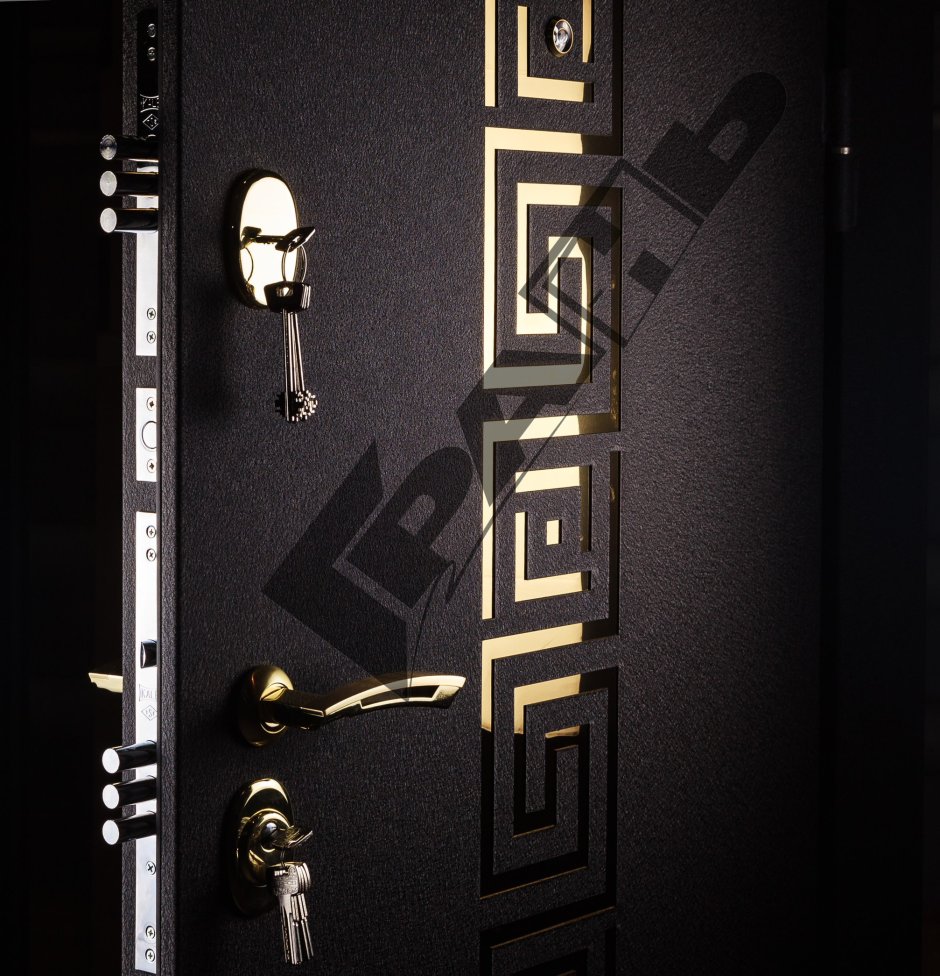 Дизайнерские входные двери