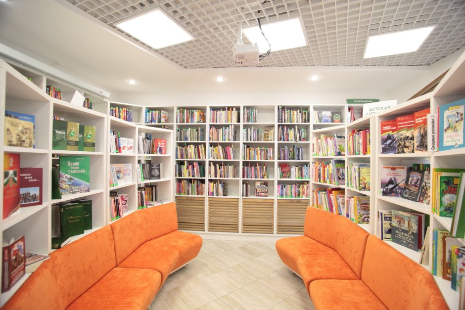 Скандинавские общественные библиотеки