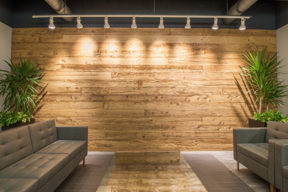 Дерево на стене