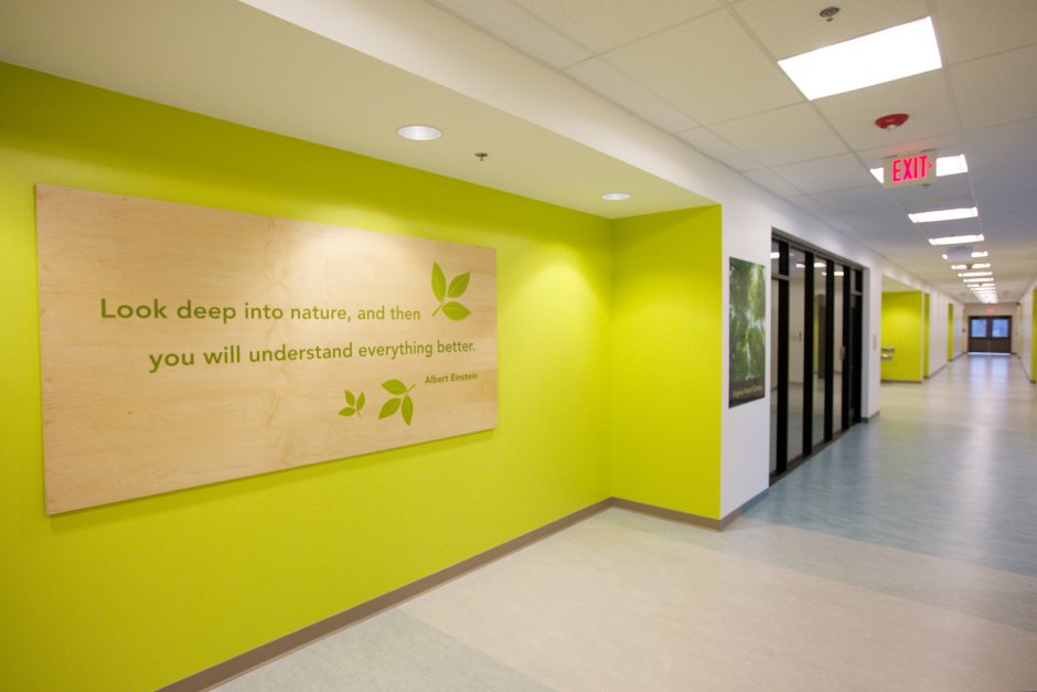 Коридор английской школы