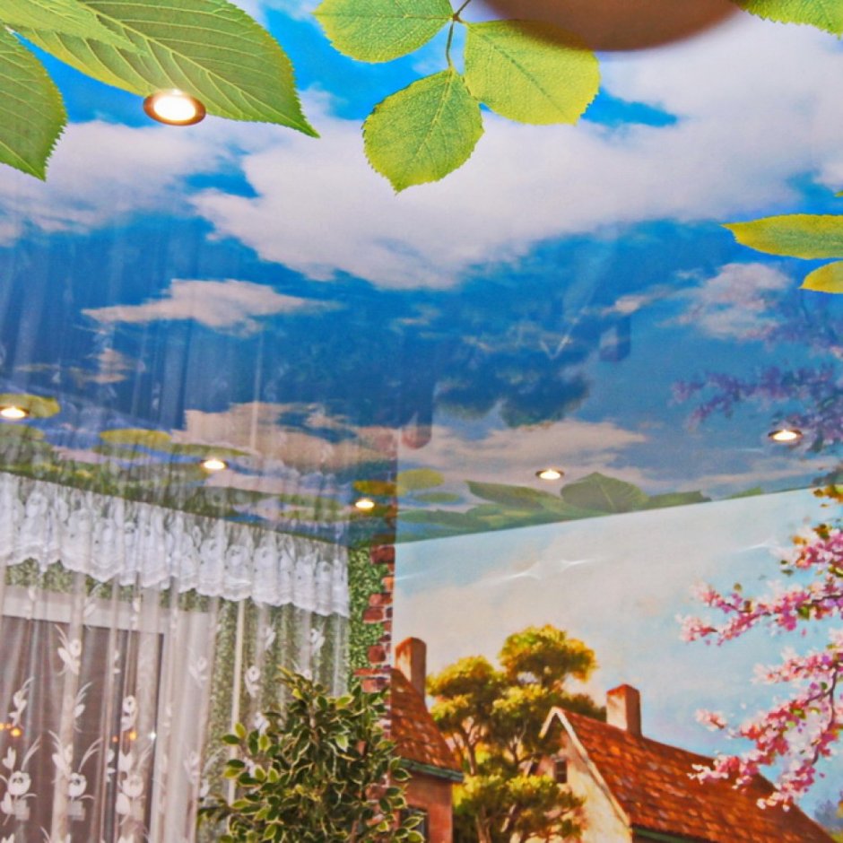 Натяжные потолки с фотопечатью