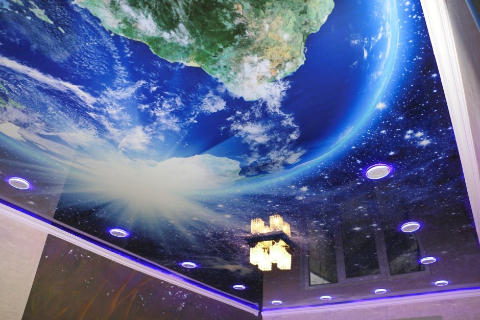 Потолки с фотопечатью с птицами