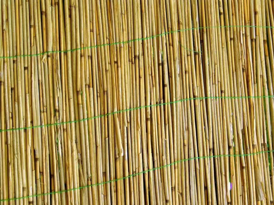 Тростниковая циновка