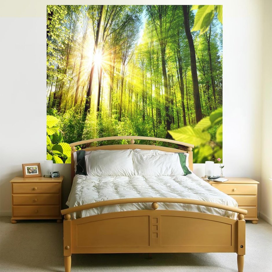 Обои Сосновый Бор Элизиум