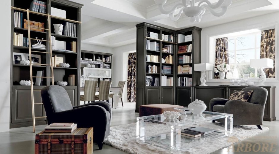 Гостиные с книжными шкафами