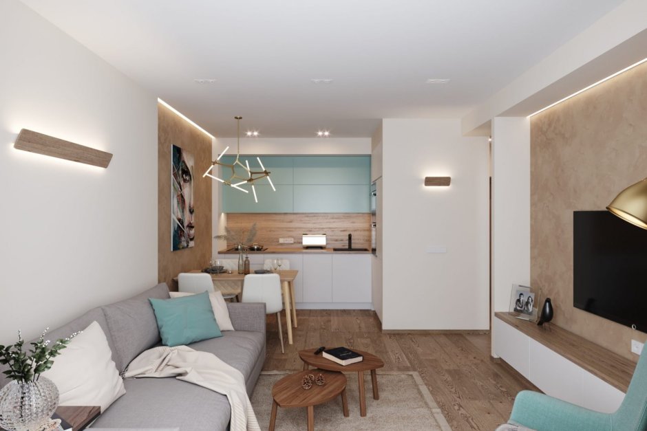 Дизайнерские квартиры распашонки