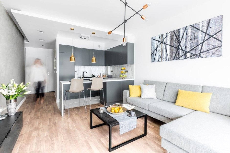 Кухня гостинная 20кв пик