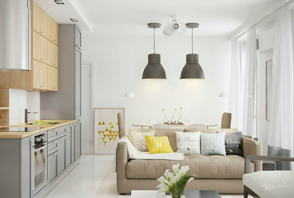 Пик евродвушка кухня гостиная