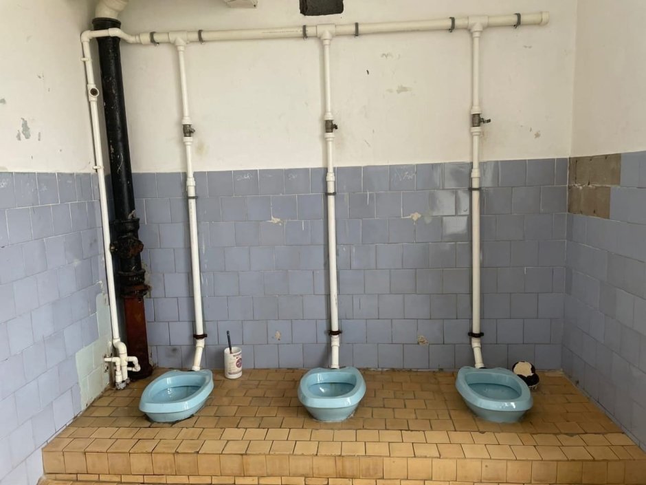 Школа моей мечты туалет