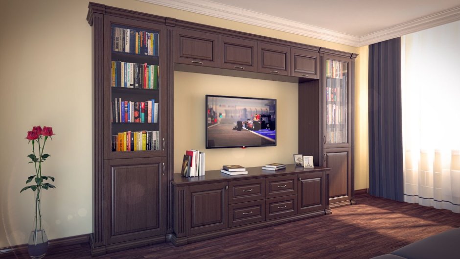 Книжный шкаф с нишей для телевизора