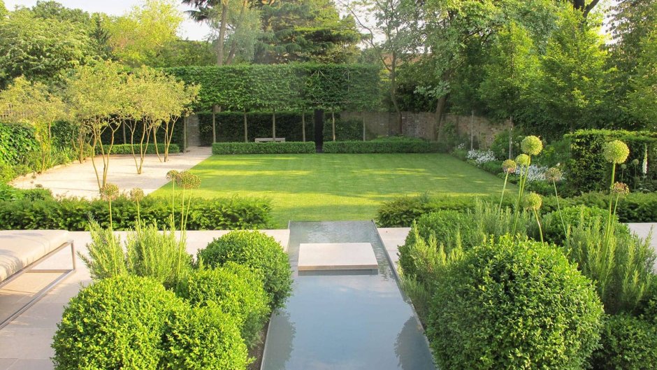 Хвойный садик в минималистическом стиле