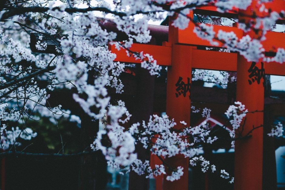 Традиционная японская гостиница рёкан