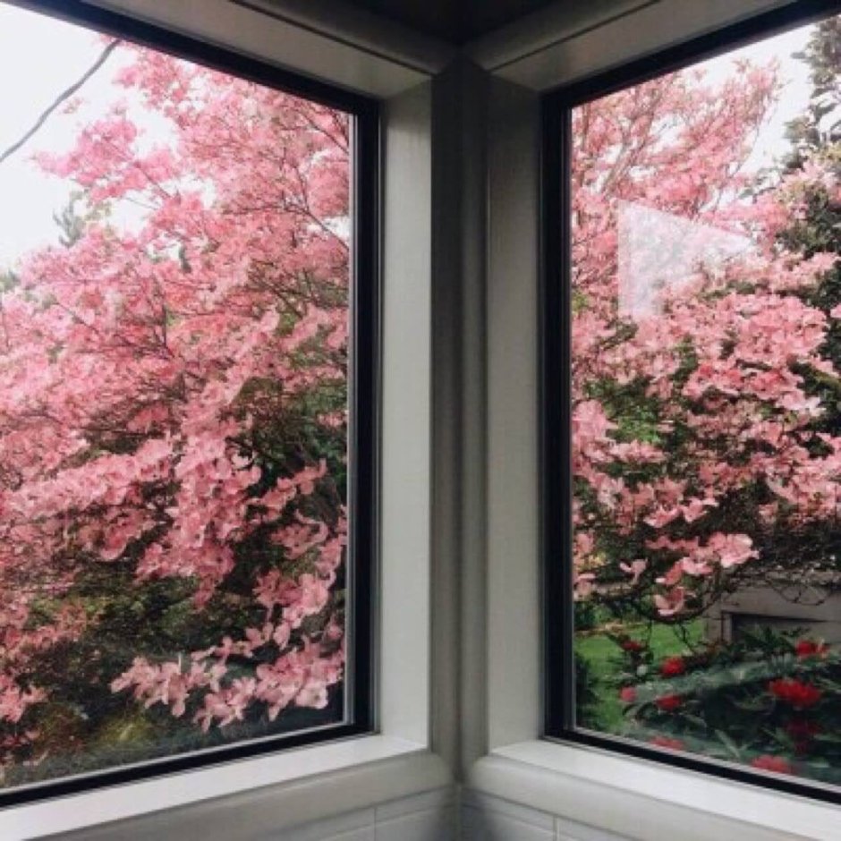 Китайская Эстетика окно