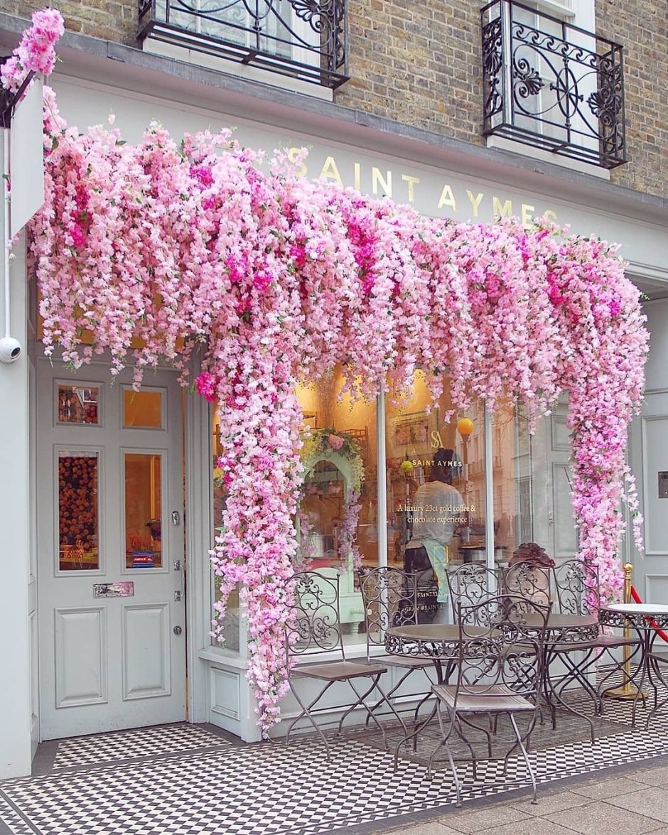 Красивые цветочные витрины