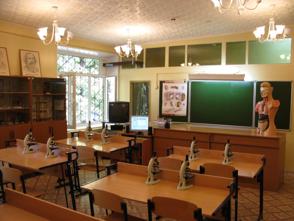 Стенографистка оформление кабинета химии и биологии