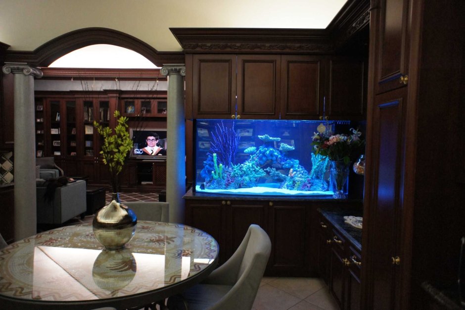 Необычные аквариумы в интерьере