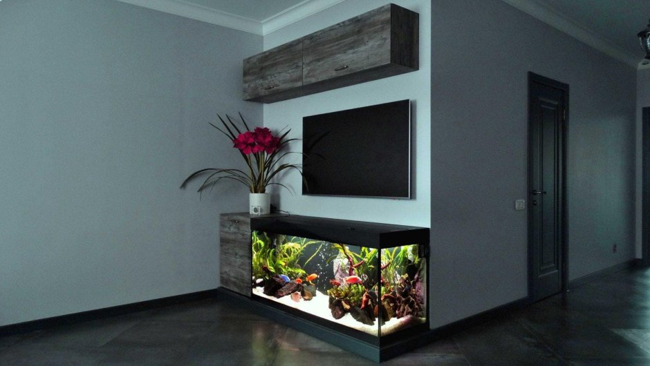 Аквариум подставка под телевизор