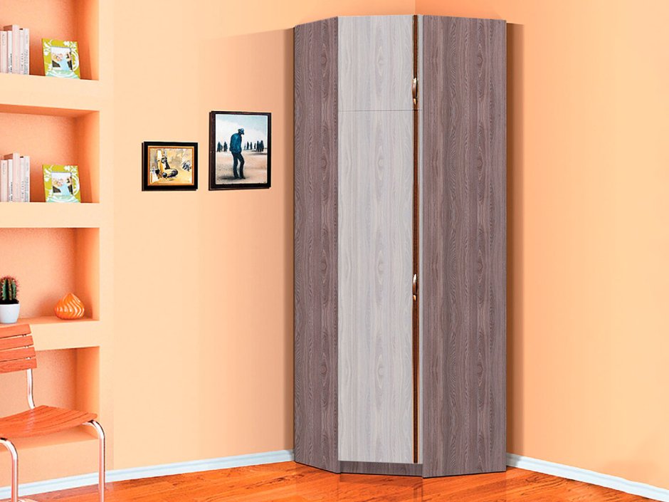 Шкаф купе Таис Столплит