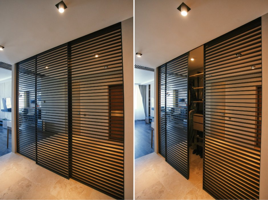 Двери Раумплюс s 1200 Air черный