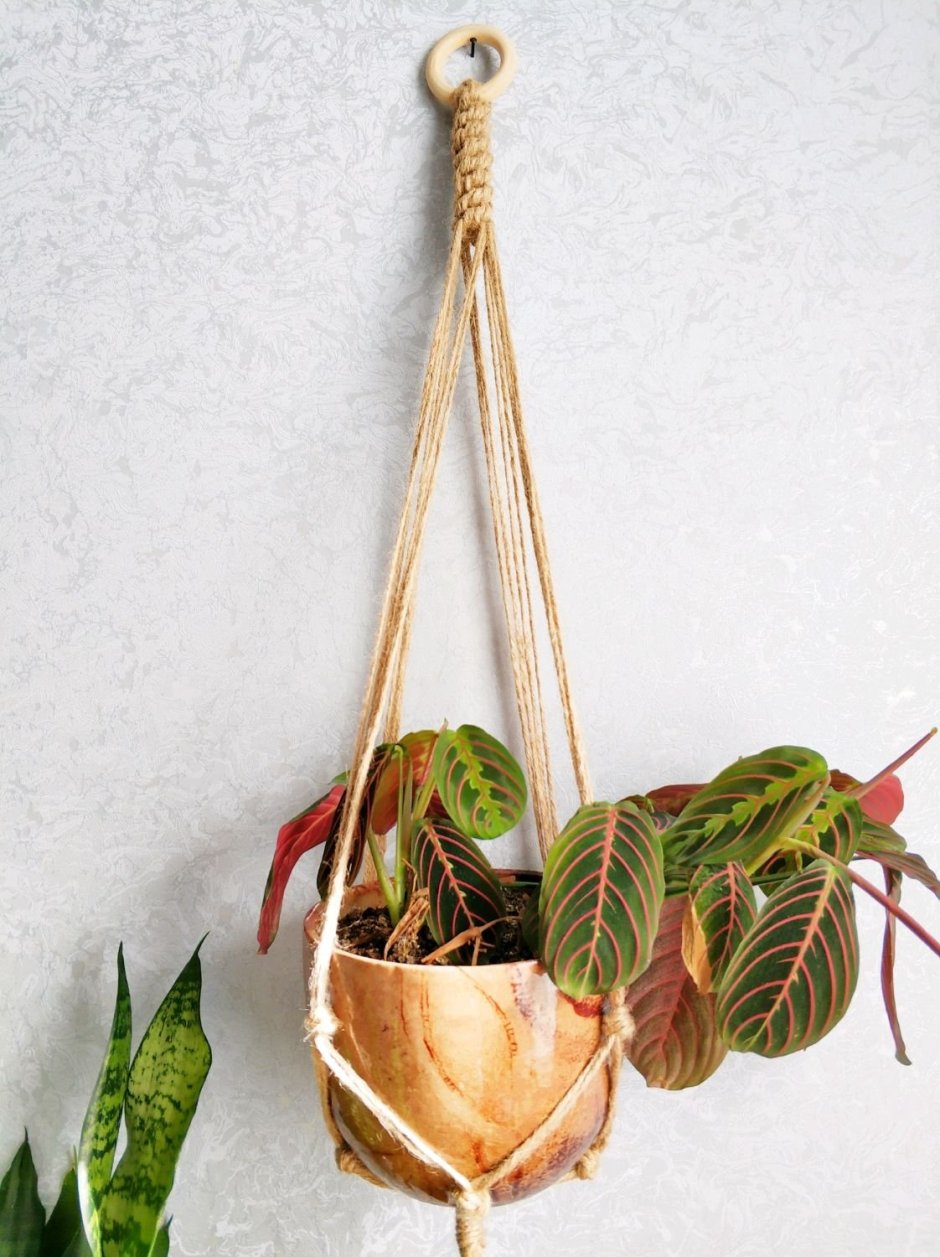 Декор для горшков комнатных растений