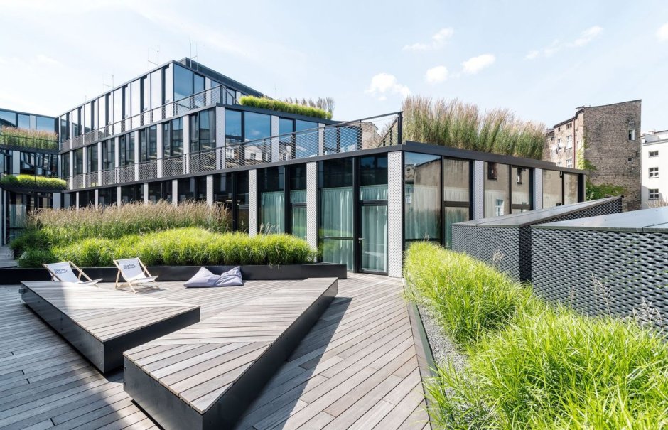 Эксплуатируемая крыша в офисах