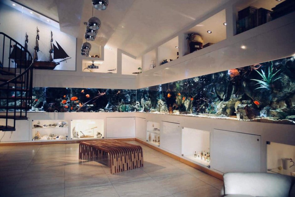 Аквариум в гостиной