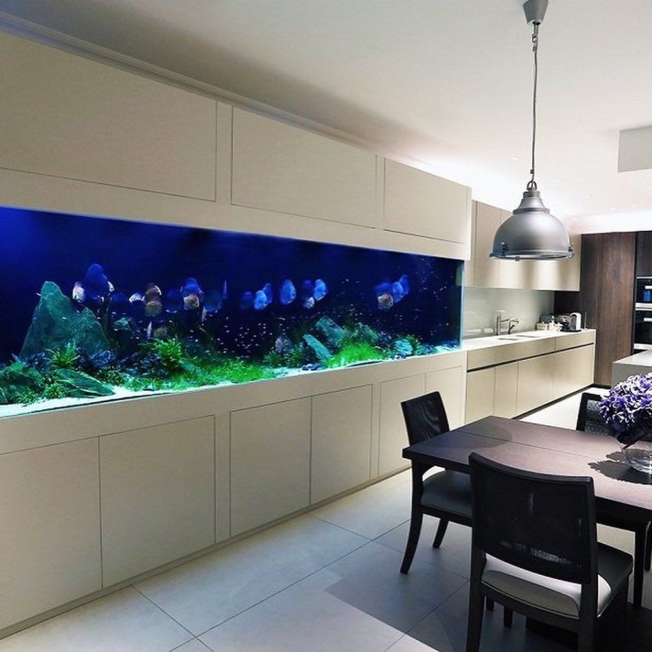 Аквариум в интерьере