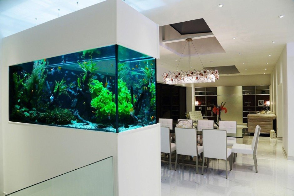 Ванная с аквариумом