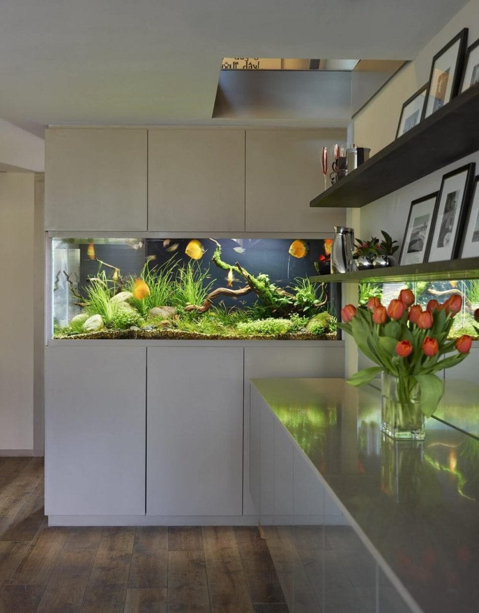 Аквариум в интерьере