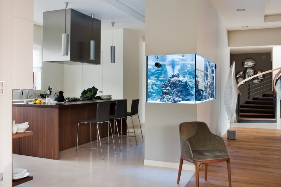 Зонирование кухни с аквариумом