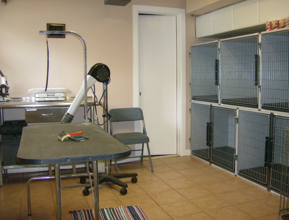 Помещение для груминга