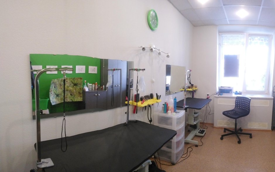 Бамбуча груминг студия