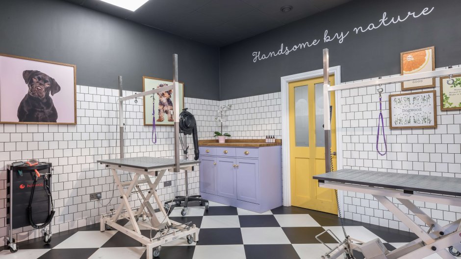 Груминг салон интерьер
