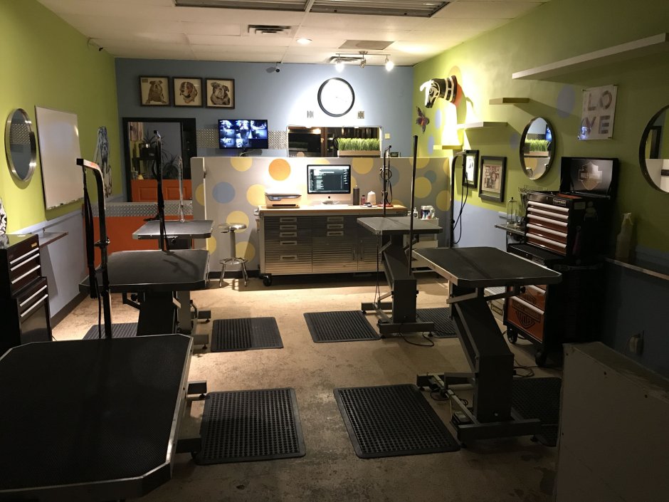 Груминг салон в стиле лофт