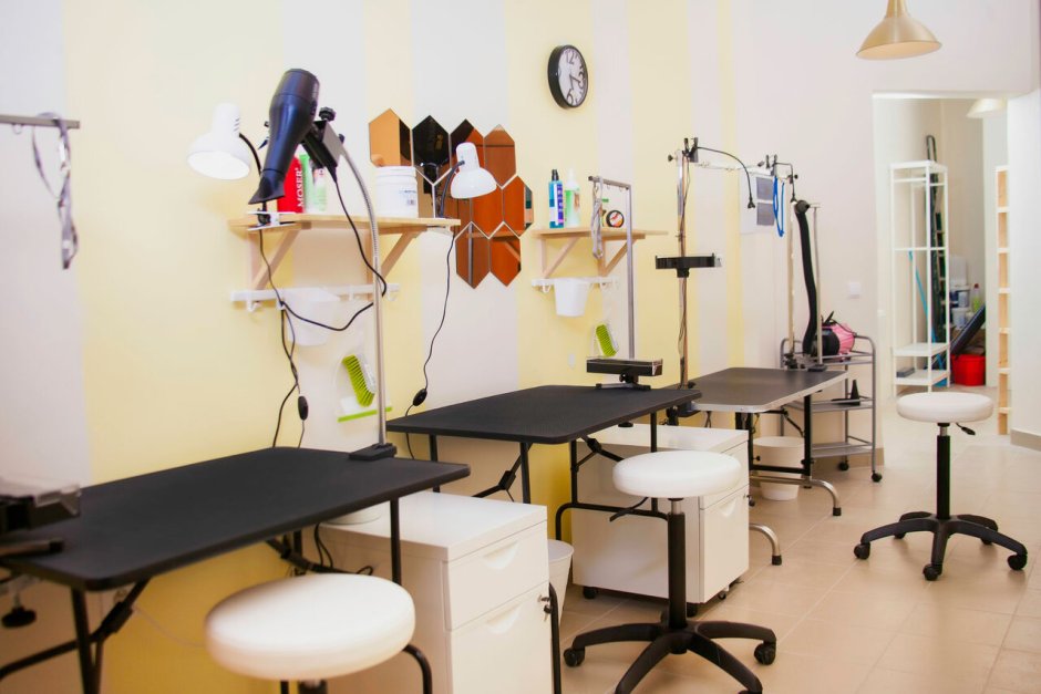 Салон груминга