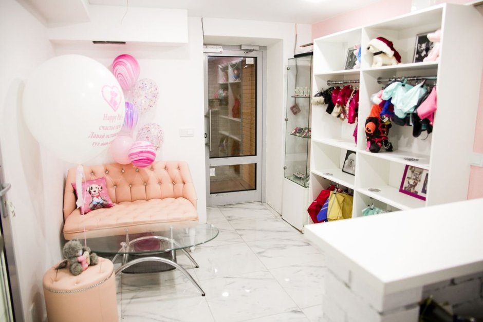 Груминг салон интерьер